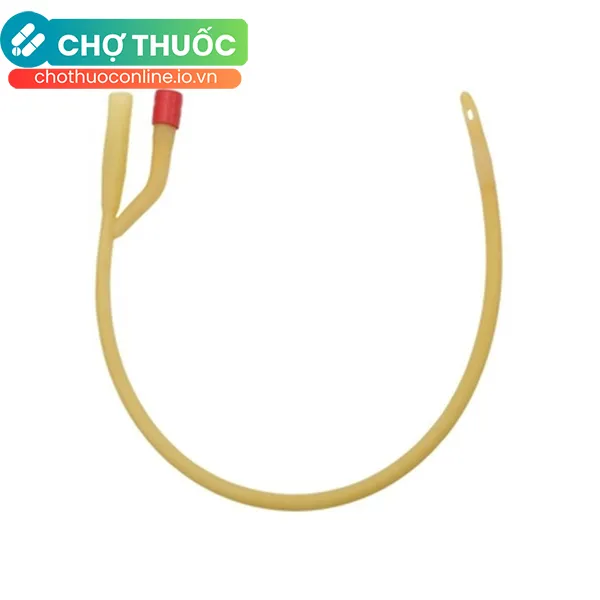 Dây thông tiểu Foley 12 (Hộp 10 cái)