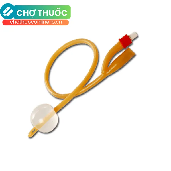 Dây thông tiểu Foley 24 ( hộp 10 cái)