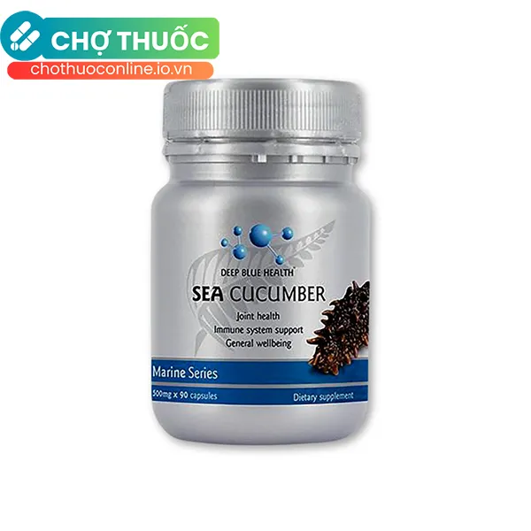 Sea Cucumber Hải Sâm - Viên uống hỗ trợ bệnh nhân ung thư, người bị khớp kinh niên (Hộp x 60 viên)