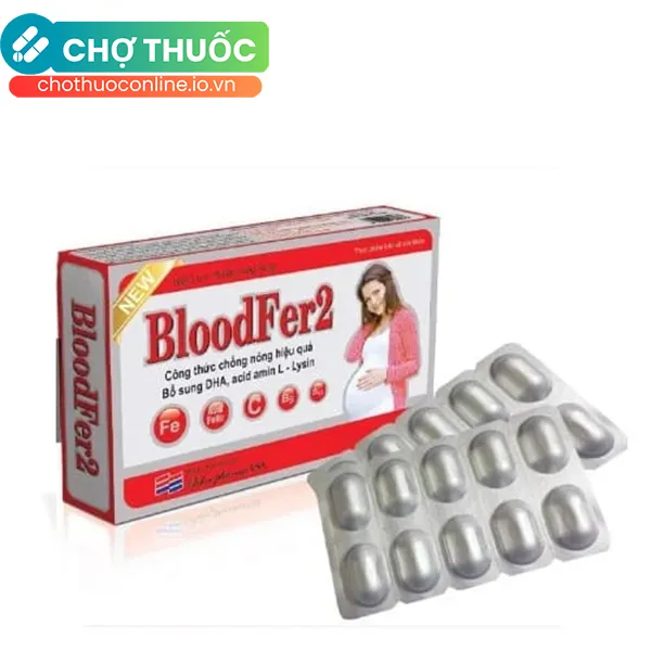 Thực phẩm bảo vệ sức khỏe Blood Fer 2 (30 viên)