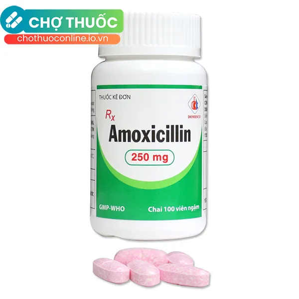 Thuốc Amoxicillin 250mg DMC điều trị nhiễm khuẩn (chai 100 viên)