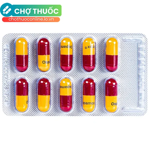 Thuốc Ospamox 500mg điều trị nhiễm khuẩn (1000 viên)